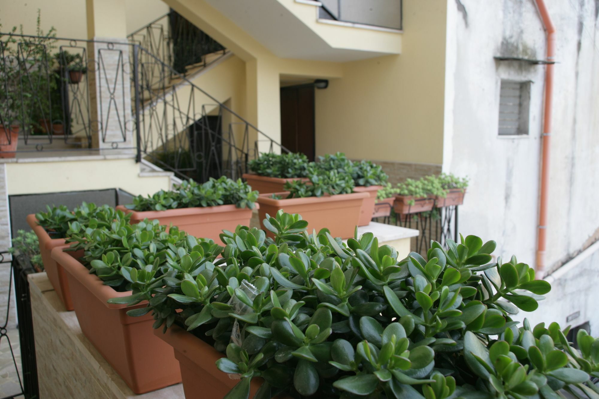 Appartamento Casa Carmen Napoli Esterno foto